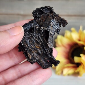 May include: A black and brown, rough textured, irregularly shaped piece of rock. The rock is being held in a hand.
