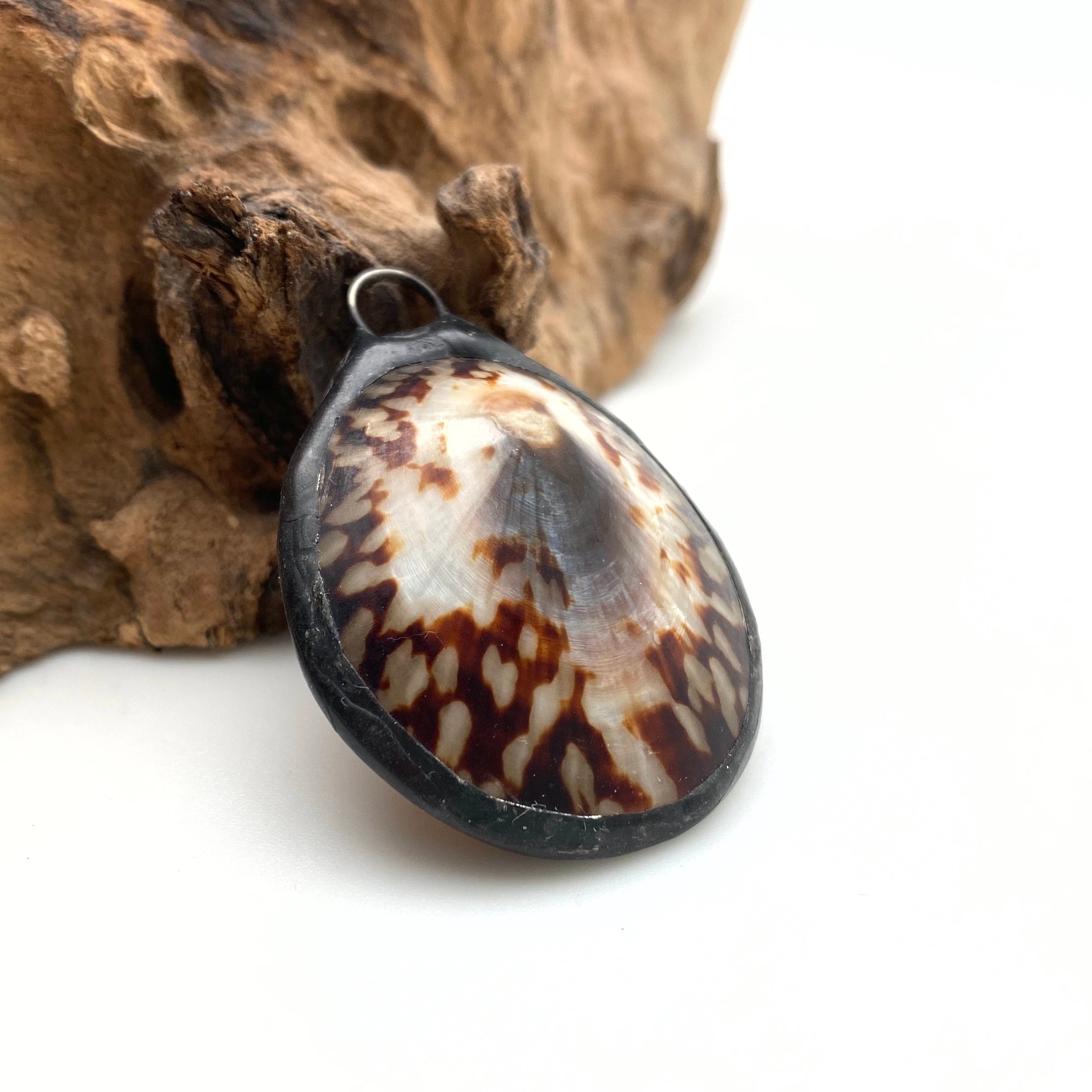 Vintage Puffy Limpet Soldered Shell Pendant (SHP20)