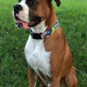 K&ouml;nnte beinhalten: Ein brauner und wei&szlig;er Boxer sitzt auf einer grasbewachsenen Wiese. Der Hund tr&auml;gt ein buntes Halsband mit Blumenmuster.