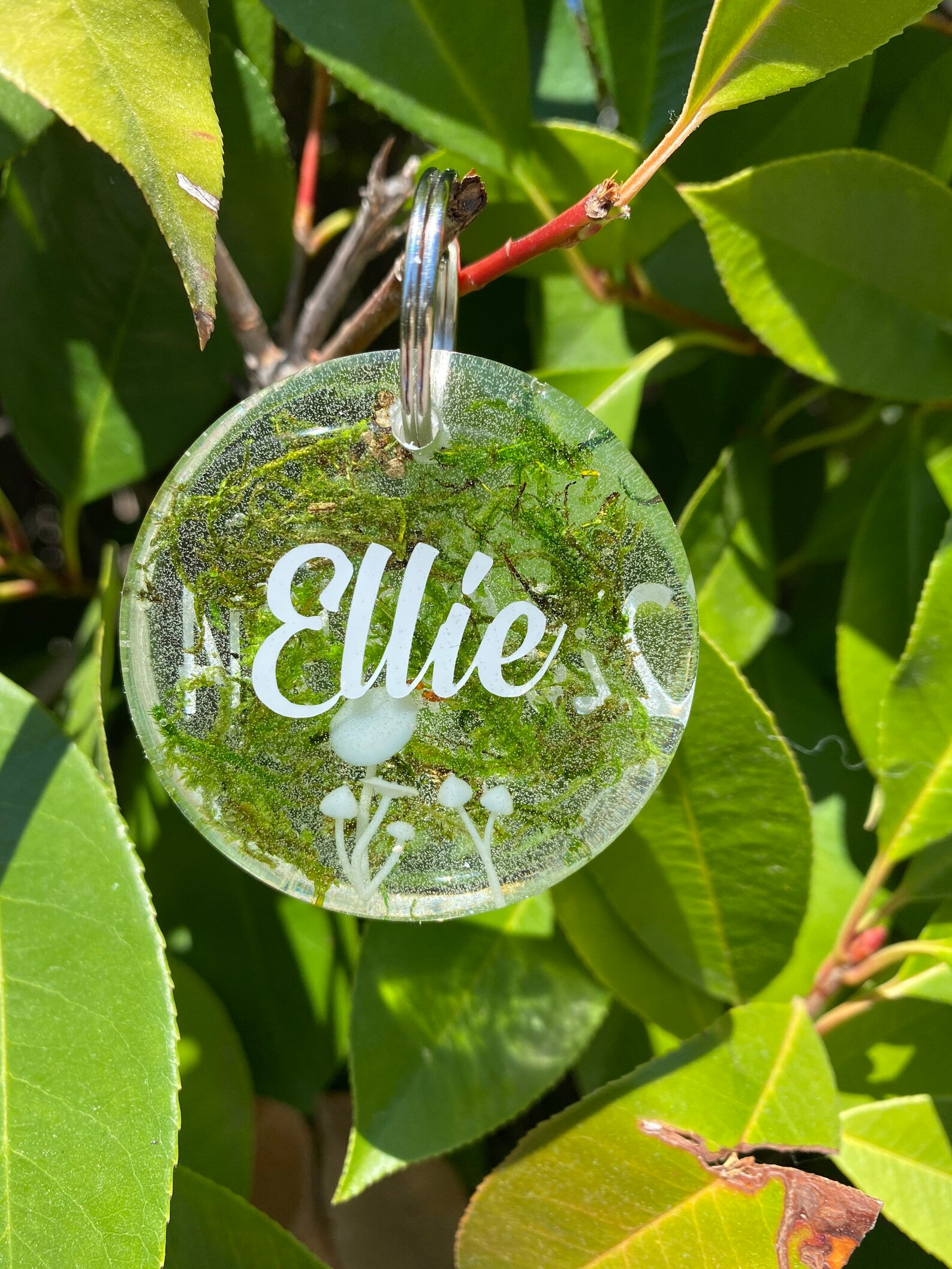 1.5 Resin Dog Tags/ Custom Dog Tags/ Epoxy Dog Tags Etsy