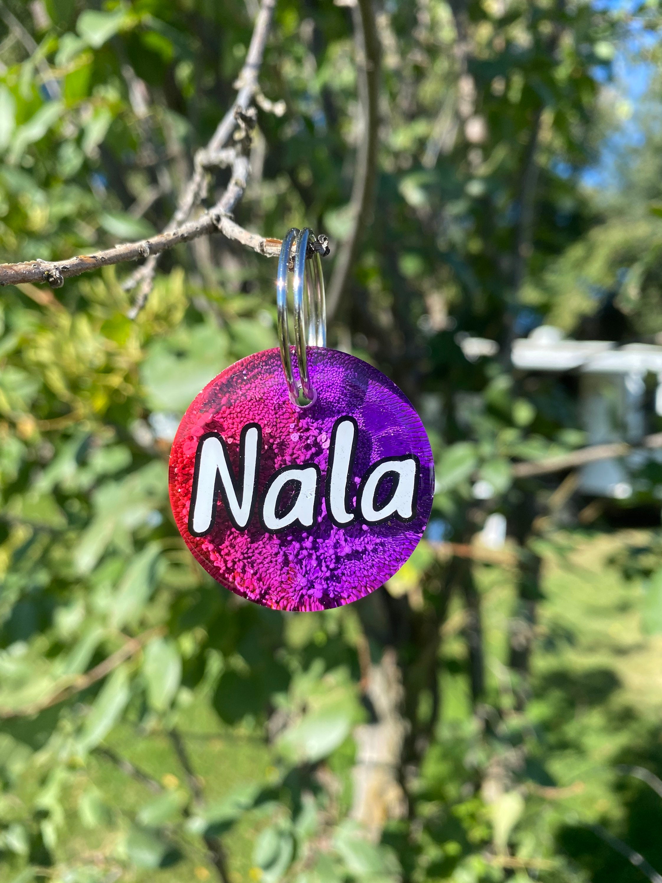 Raspberry Dog Tag 1.5 Rainbow and Pink Resin Dog Tag/ Custom Dog Tag/ Epoxy Dog | Etsy