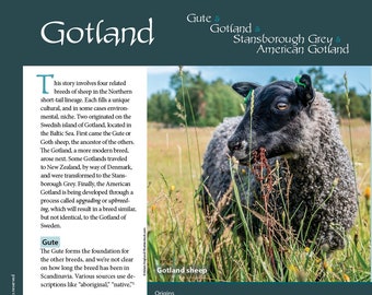 Anleitung für Fiber Intensive: Gotland (PDF-Download)
