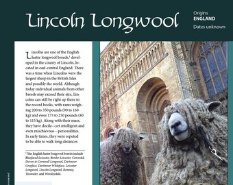 Anleitung für Fiber Intensive: Lincoln Longwool (PDF-Download)