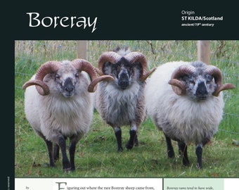 Guide to Fibre Intensive: Boreray (PDF-Download)