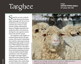 Guide to Fiber Intensive: Targhee (PDF download)