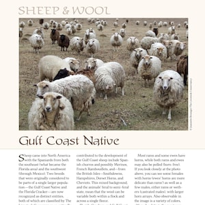 May include: A photograph featuring a flock of sheep, with a focus on the Gulf Coast Native breed. The sheep are primarily white, with some black and brown individuals. The image includes text about sheep breeds and wool.
