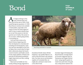 Guide to Fiber Intensive: Bond (PDF download)