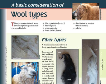 Deborah Robson's Guide to Fiber: Wool Types