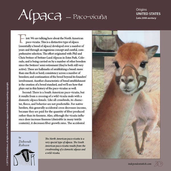 Guía de Fibra Intensiva: Paquete Alpaca - Huacaya, Suri, Paco-vicuña (3 descargas en PDF)