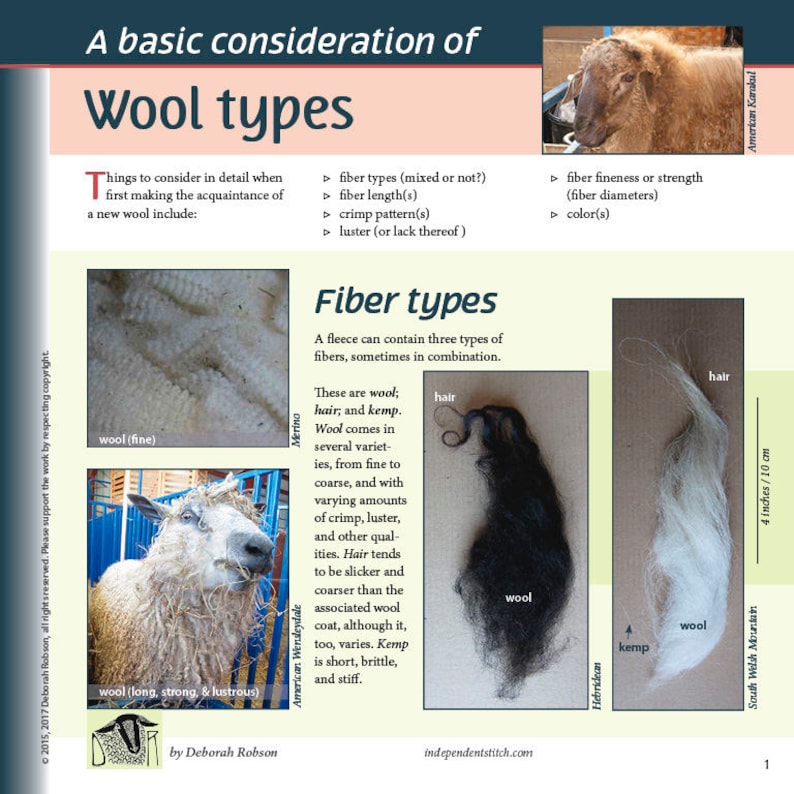 Deborah Robson's Guide to Fiber: Wool Types image 1