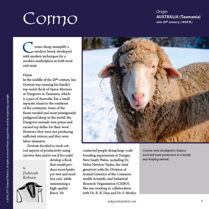 Guide to Fiber Intensive: Cormo PDF download image 1