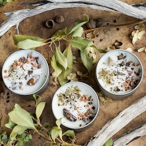 Understory Grounding Spell Candle: Petrified Wood, Oakmoss & Amber