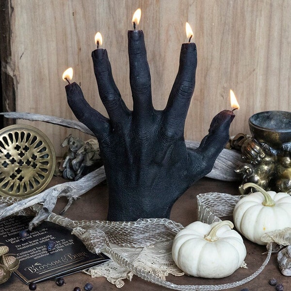 Mano de Gloria // Vela de cera de abejas // Curiosidades macabras // Gabinete de curiosidades // Regalo de bruja // Decoración de Halloween