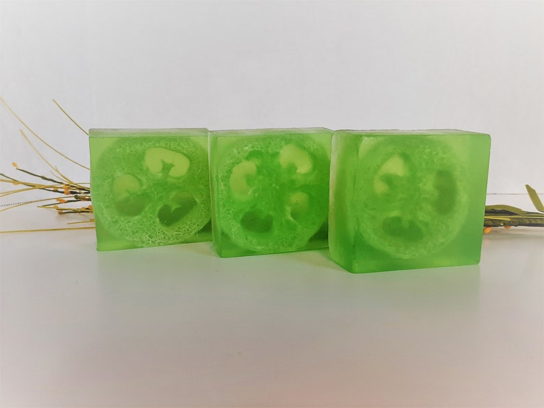 Exfoliating Loofah Body and Pedicure Soap image 1