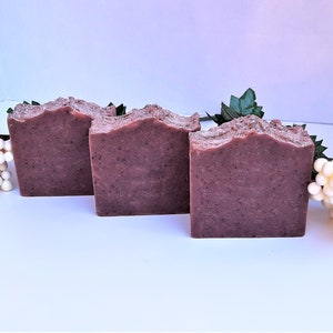 Sugar Plum & Hollyberry Body Soap image 4