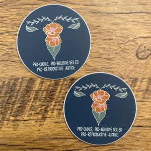 Set of 2 Pro-choice, Pro-Inclusive Sex-Ed, Pro-Reproductive Justice Sticker