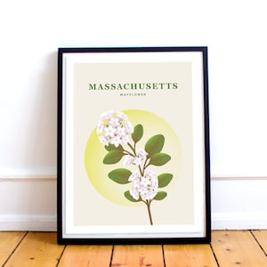 Massachusetts Print – State Flower Poster, Mayflower Illustration, Mass Poster, Massachusetts Gift, Mayflower Print, Northeast Travel Art