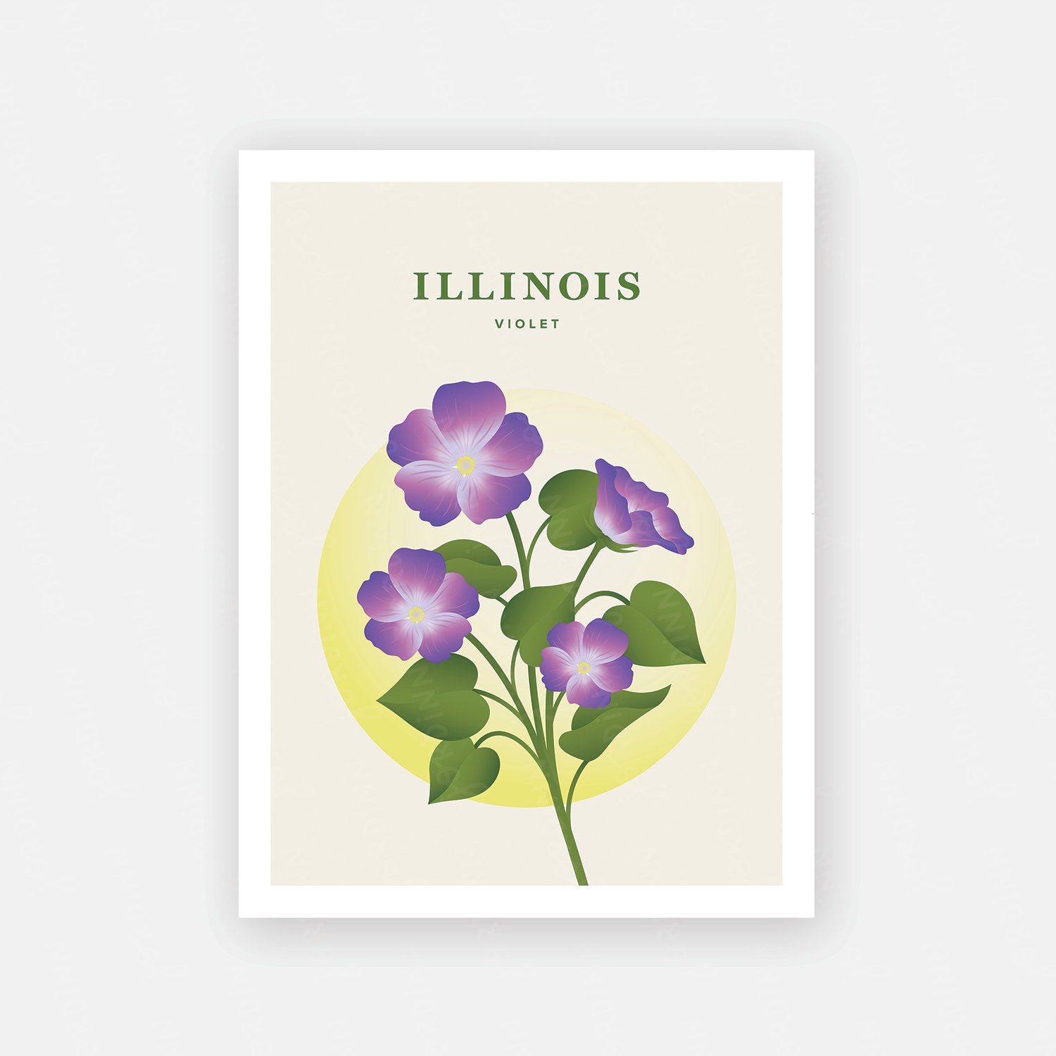 Illinois Print Illinois State Flower Poster Violet | Etsy