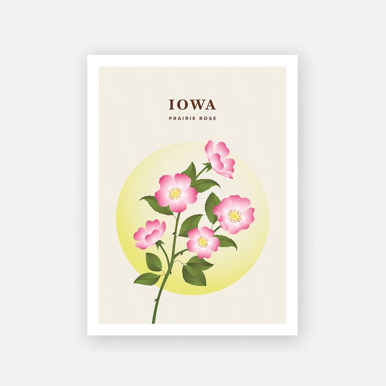 Iowa Print Iowa State Flower Poster, Prairie Rose Illustration, Iowa