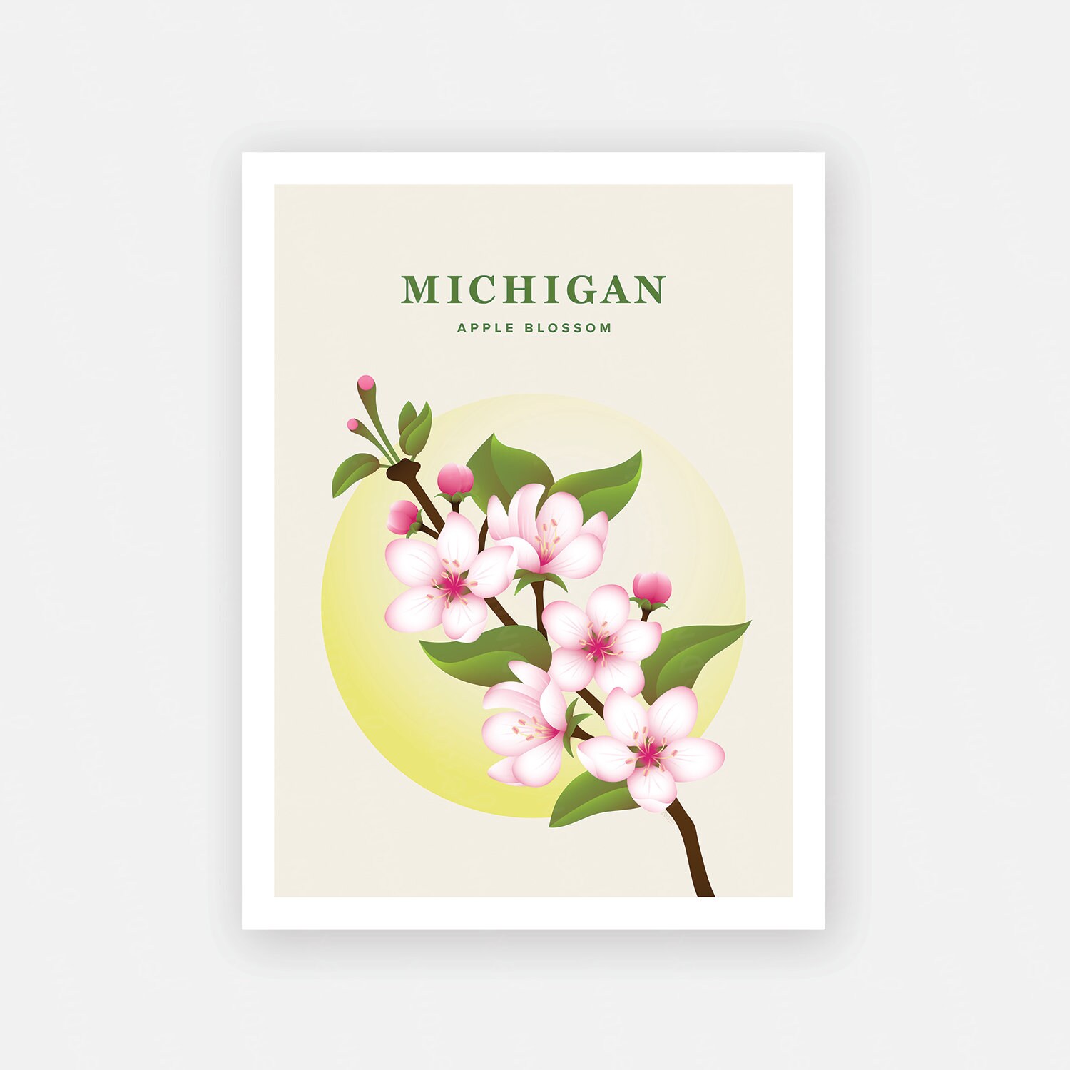 Michigan Print – State Flower Poster, Apple Blossom Illustration ...