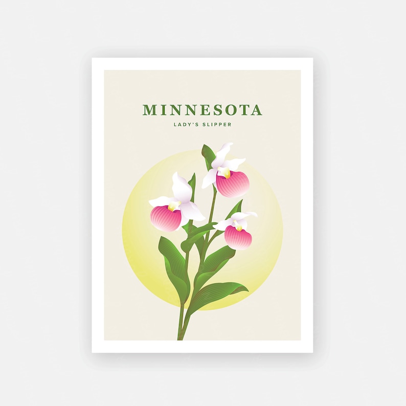Minnesota Print – Minnesota State Flower Poster, Lady Slipper Flower ...