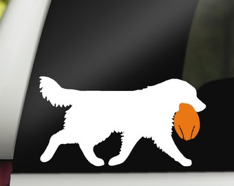 Golden Retriever with Duck Decal