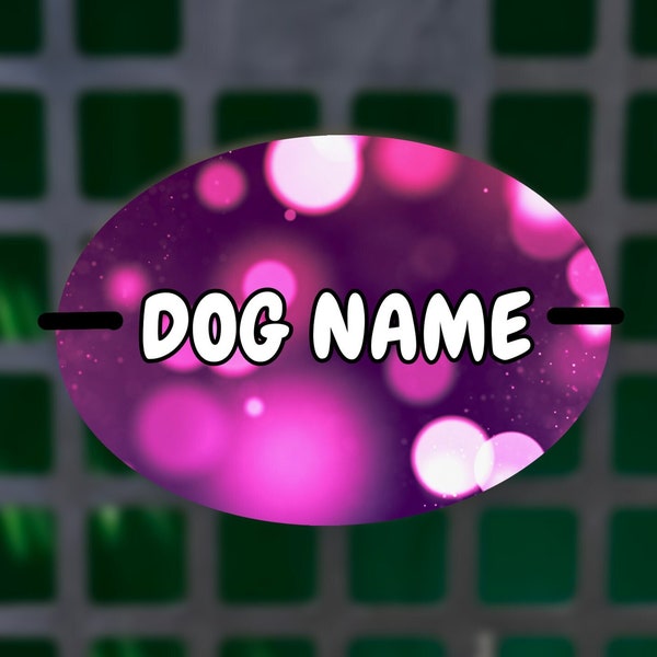Custom Plastic Crate or Kennel Tag