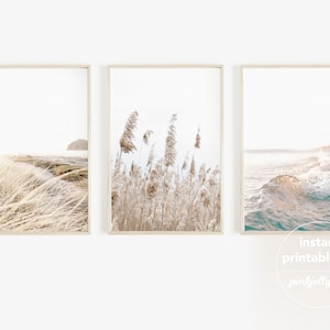 pampas beach prints set of 3, printable wall art, coastal, 3 piece, digital art