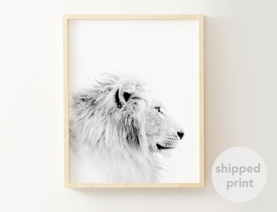 Lion Wall Art Lion Print Animal Wall Art African Animal Etsy