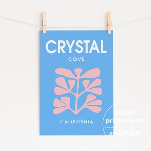May include: A blue and pink printable art print with the text "CRYSTAL COVE CALIFORNIA". The print features a stylized pink plant design.