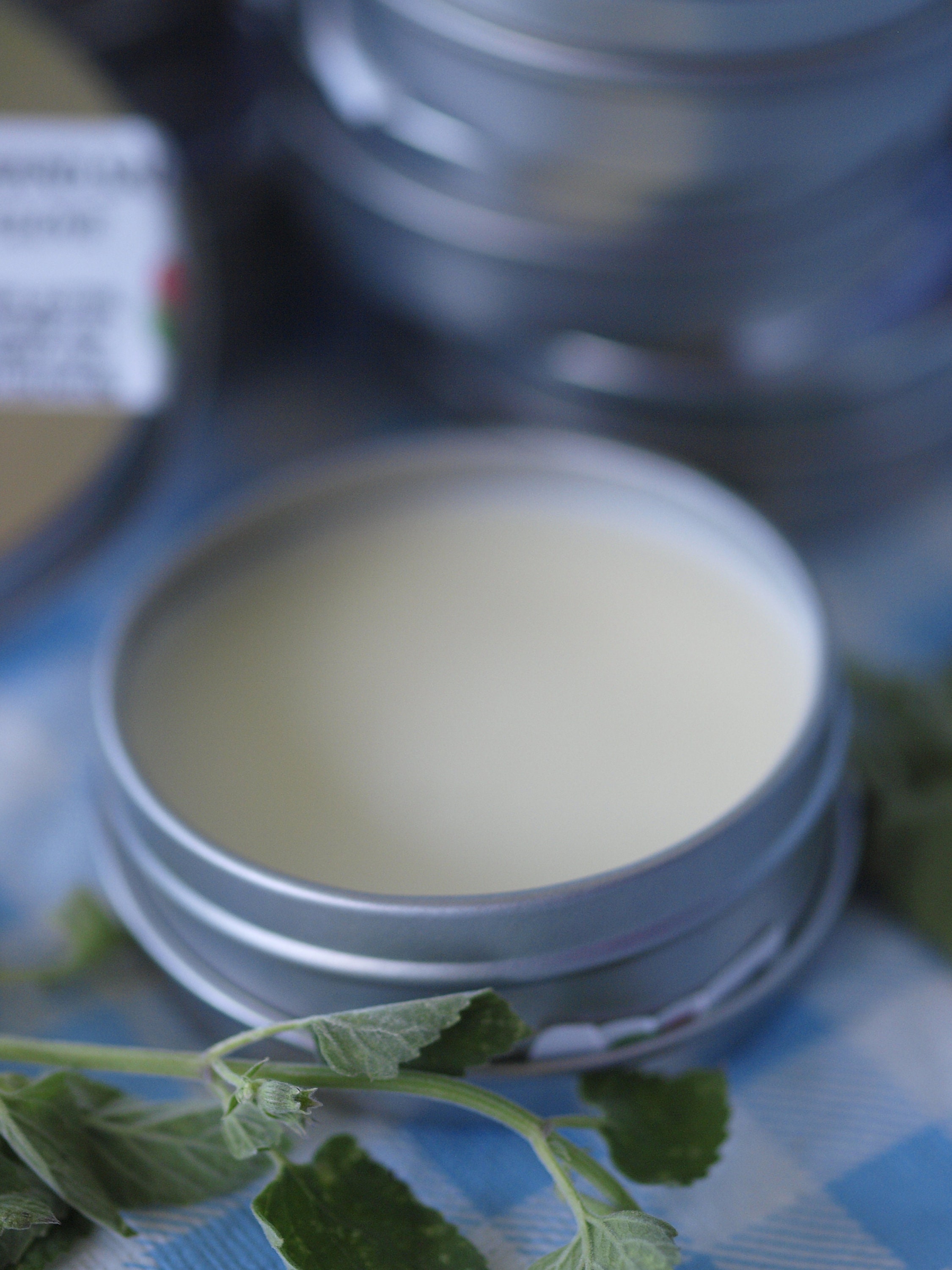 Organic Lemongrass Catnip Clove Hand Body Salve Farm Made Etsy