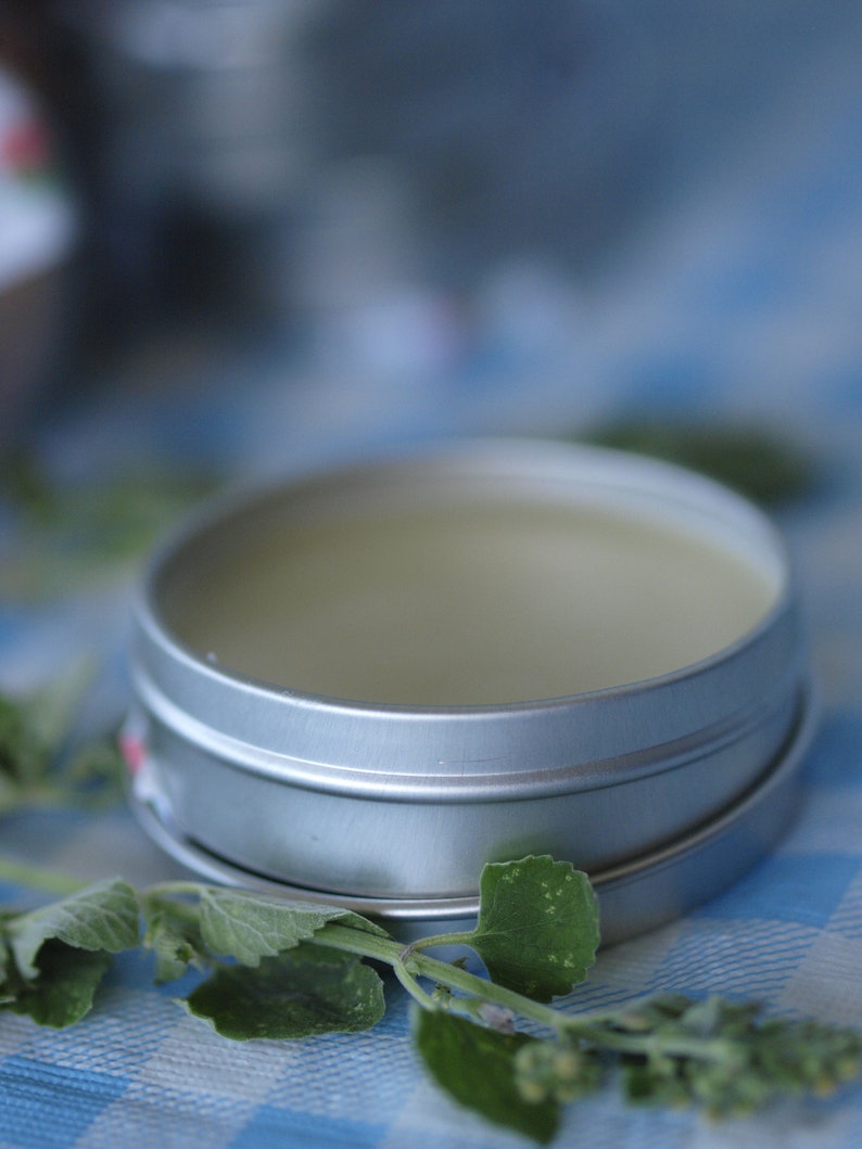 Lavender Catnip Organic Hand Salve Farm Made Magic Balm Great Etsy