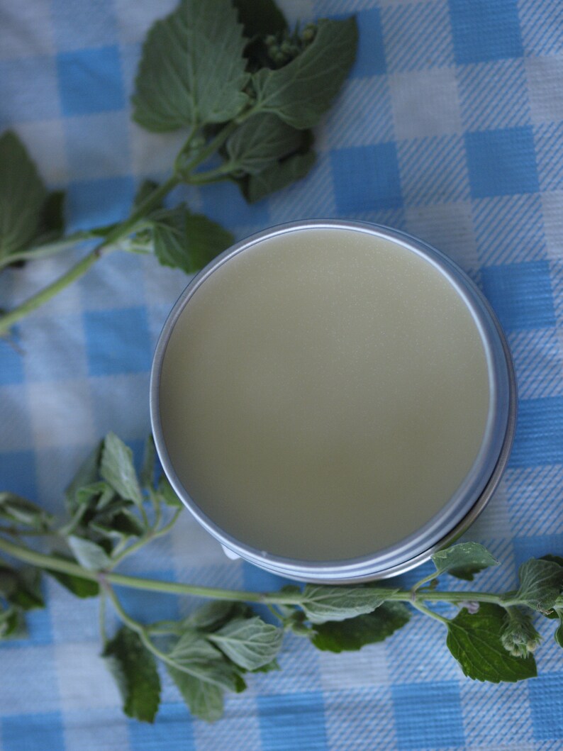 Lavender Catnip Organic Hand Salve Farm Made Magic Balm Great Etsy