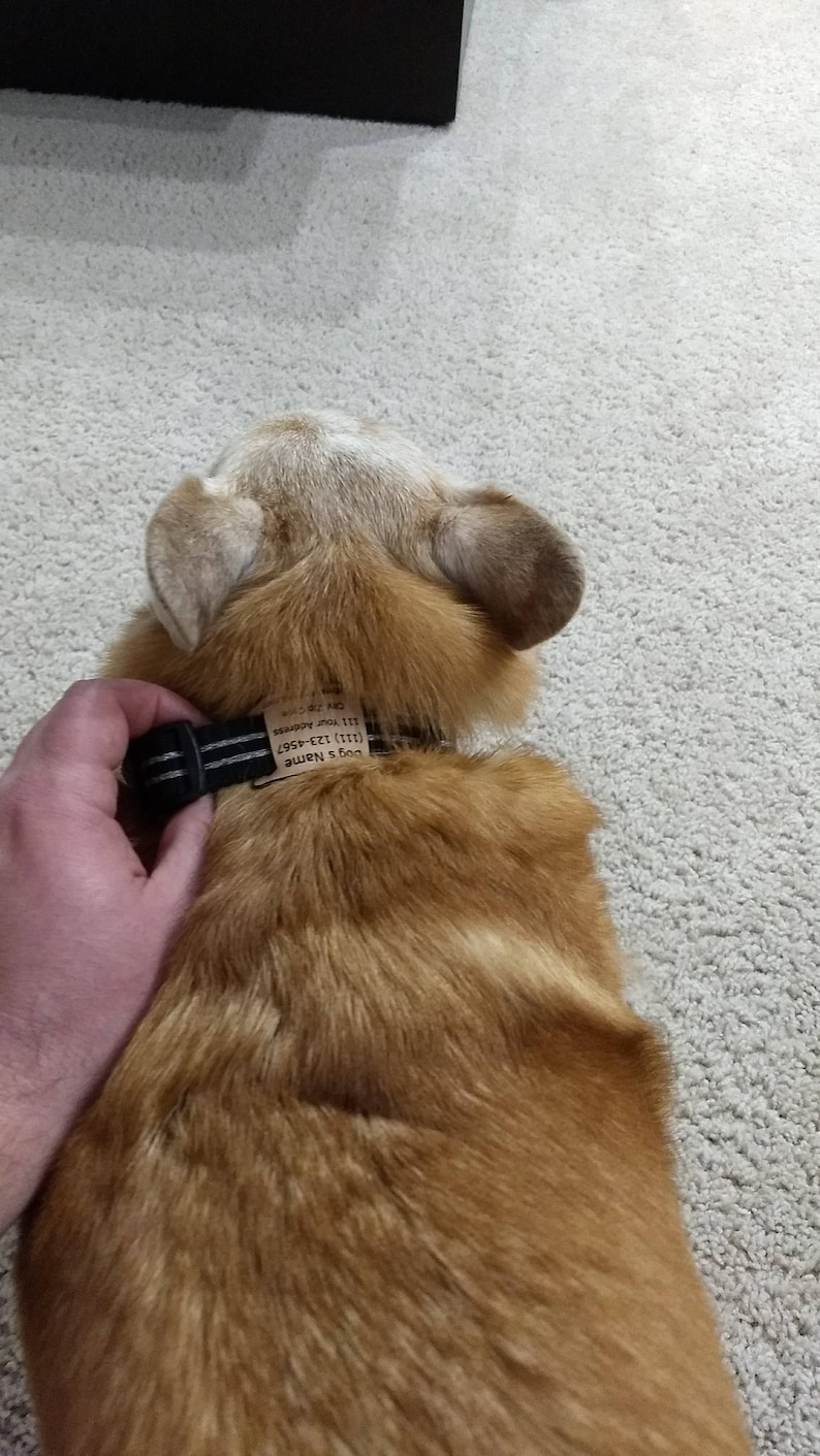 Non Conductive ID Tag for Invisible Fence Collar For use on Etsy