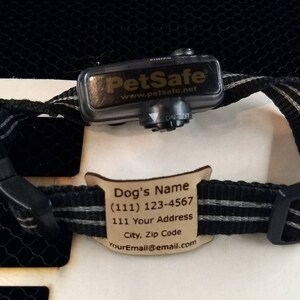 Non Conductive ID Tag for Invisible Fence Collar - For use on removable buckle style collars only - Please check your collar before ordering