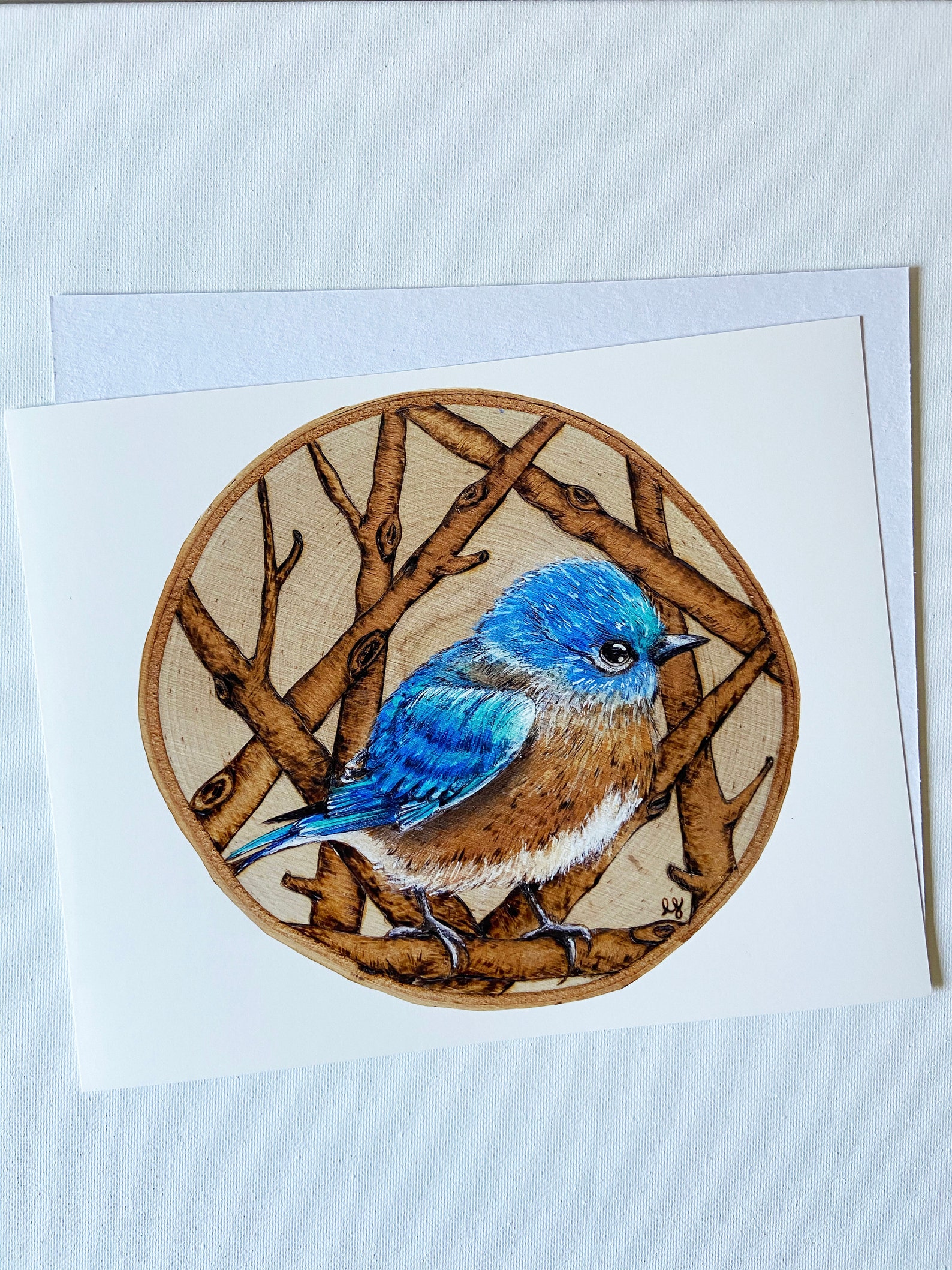 eastern-bluebird-giclee-print-8x10-pyrography-print-home-etsy