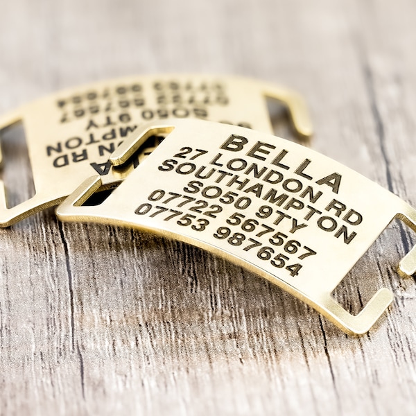 Brass Dog Collar Etsy