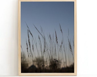 Minimalista azul cielo fotografía arte impresión, decoración de la pared de la fotografía de la naturaleza contemporánea, fotografía moderna de bellas artes para el regalo del amante de la naturaleza