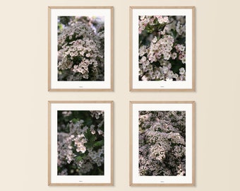 Pink Flowers Gallery Wall Set, White Blossom Set Of 4 Art Prints, Modern Scandinavian Living Room Decor, Minimalist Set Of Four Art Prints