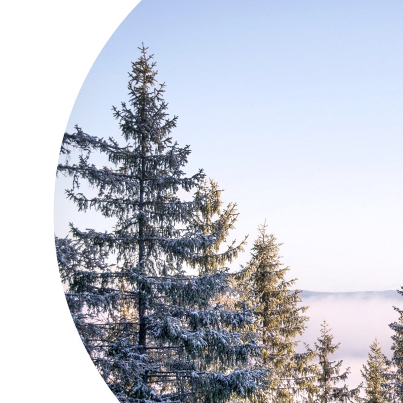 Minimalist Gallery Wall Art Set Blue Mountain Landscape Art Print Modern Landscape Photography Set Of 2 Prints Pine Tree Print Set Of Two