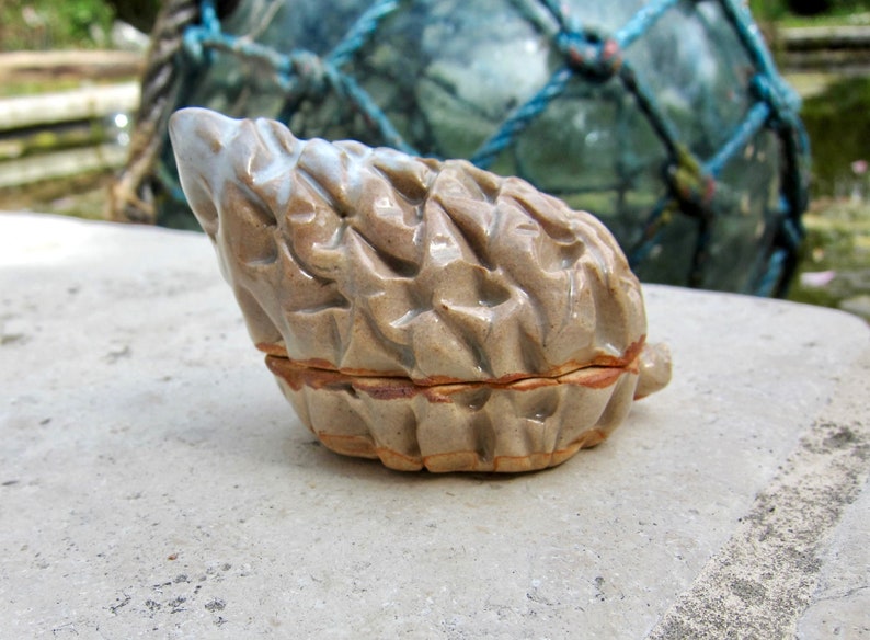 Pine Japanese taupe Natural Plant Studio Pottery Incense Case Small Container Box Pinecone Hagi Ware Kogo