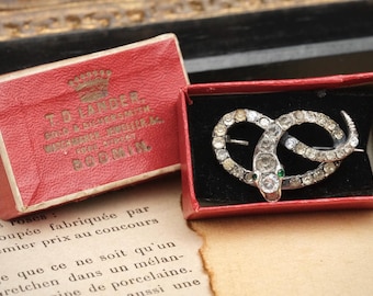 Antique Victorian Silver Based Paste Coiled Snake Brooch with Box