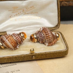 May include: A pair of earrings featuring spiral seashells with brown and white patterns, accented by polished gold-tone metal bands and smooth, translucent amber-colored cabochons, presented in a rectangular, cream-lined jewelry box.