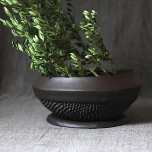 Zwartbruine, stekelige plantenpot - handgemaakte keramische plantenpot - unieke plantenpot - cactussen en vetplanten - kunstkeramiek