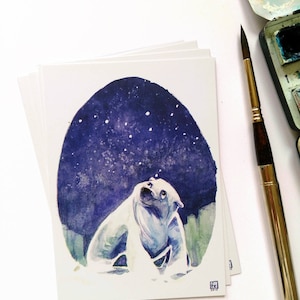 5 x CARTE POSTALE - Ours polaire#3 - « ursa major »