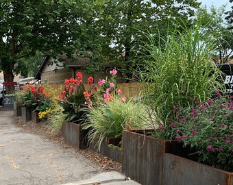 Corten Cube Planters Small & Large