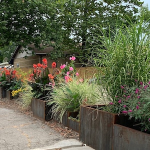 May include: A row of rusty metal planters with various plants, including red and pink flowers, green grasses, and purple flowers. The planters are lined up along a sidewalk.