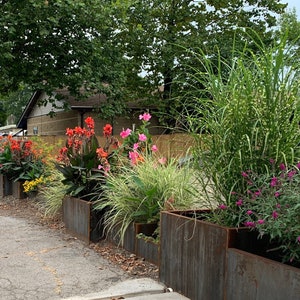 May include: A row of rusty metal planters with various plants, including red and pink flowers, green grasses, and purple flowers. The planters are lined up along a sidewalk.