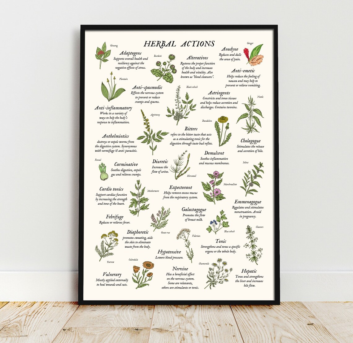 Herbal Actions Properties Art Print Herbalism - Etsy