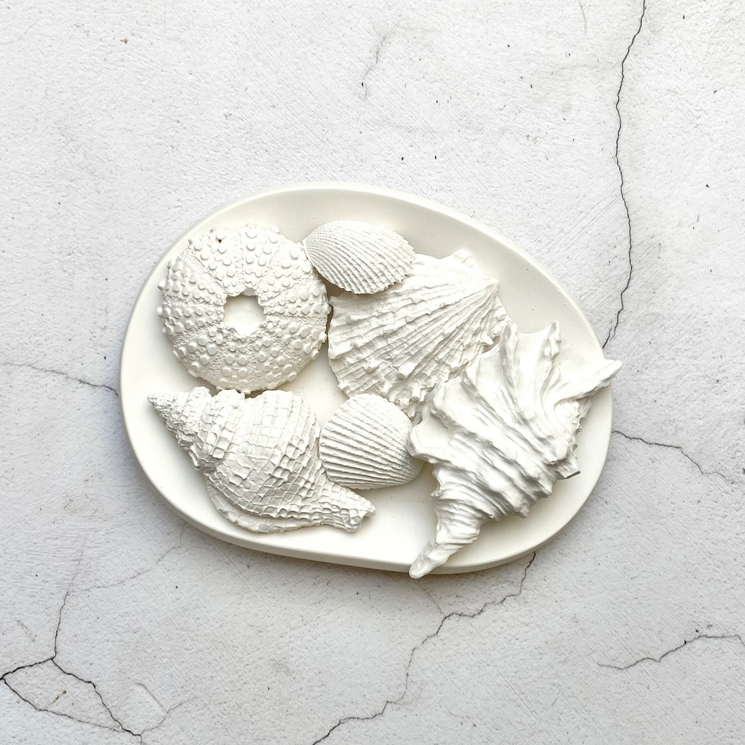 Shells Aroma Stone Diffuser Made From Natural Plaster Cast